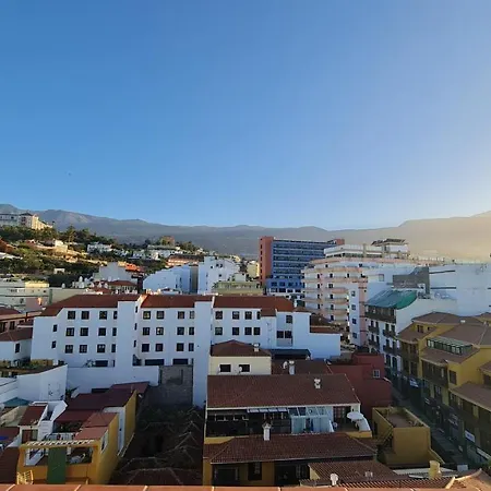 Girasol Puerto de la Cruz