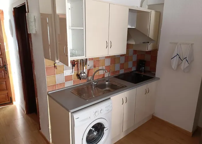 Girasol * Puerto de la Cruz